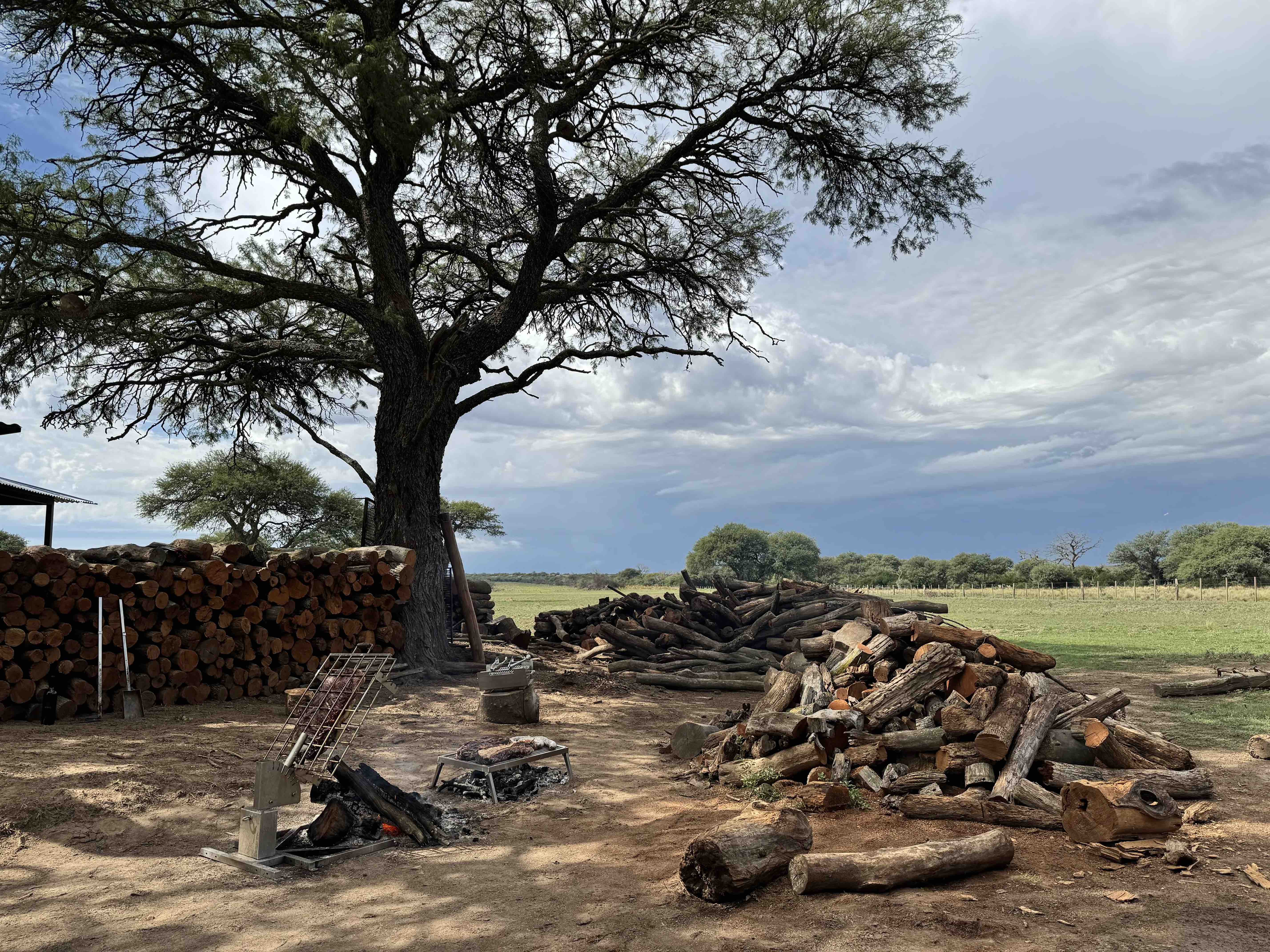 Tagwood BBQ94SS Stainless Steel Basement Clamp Grill