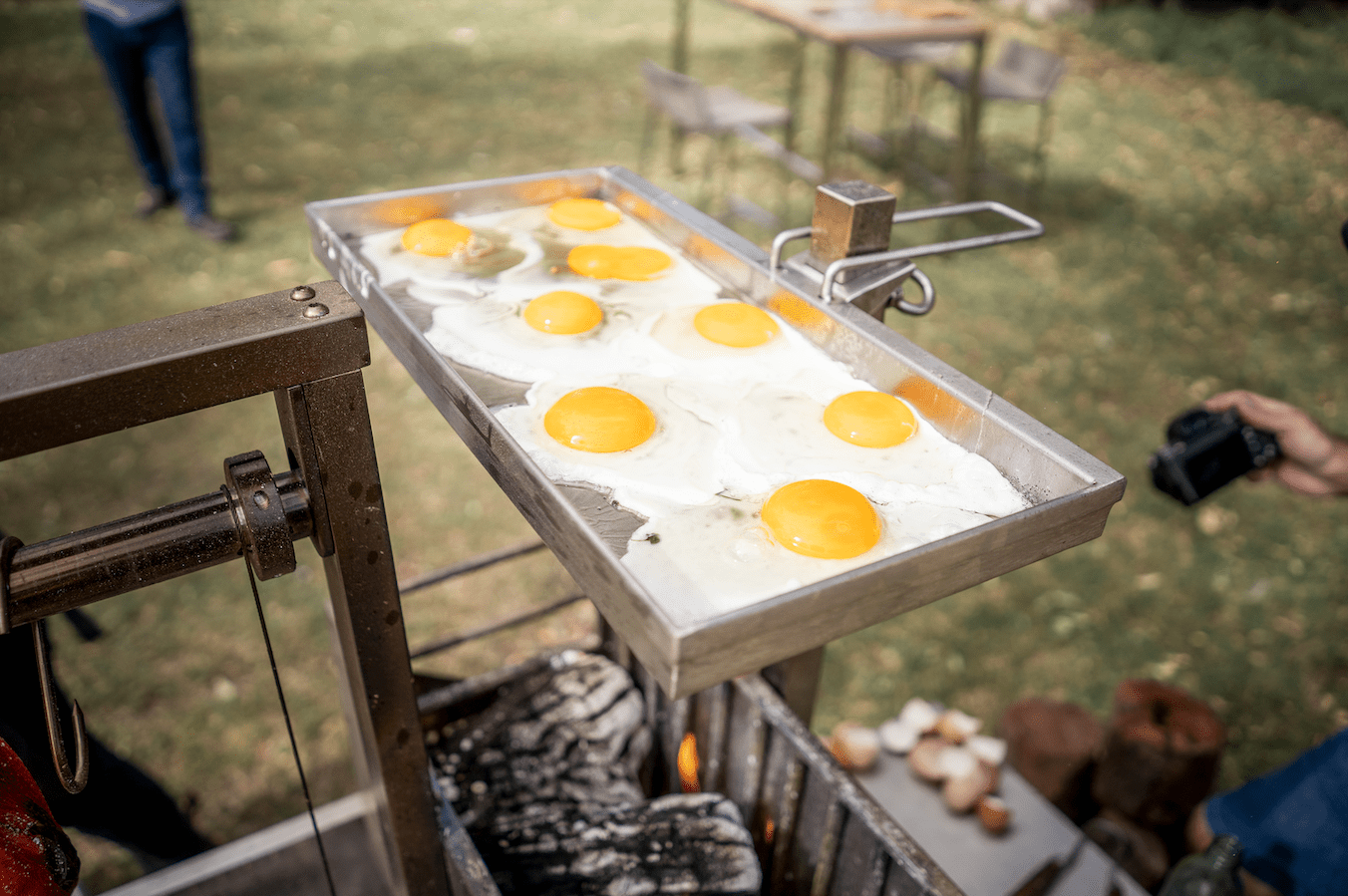 Tagwood BBQ Height Adjustable Stainless Steel Griddle | GRD86SS