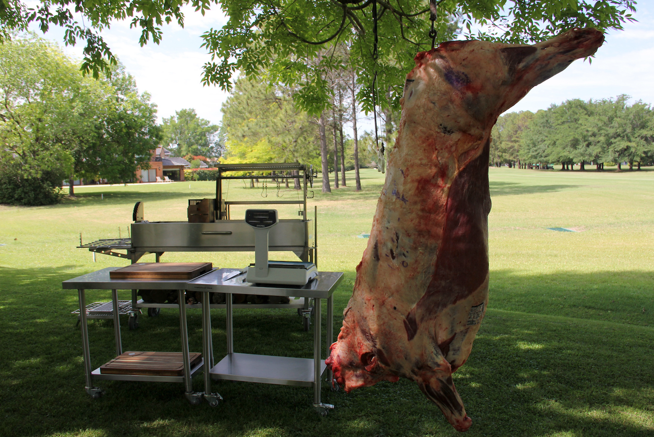 Tagwood BBQ26SS XL Argentine Santa Maria Wood & Charcoal Grill