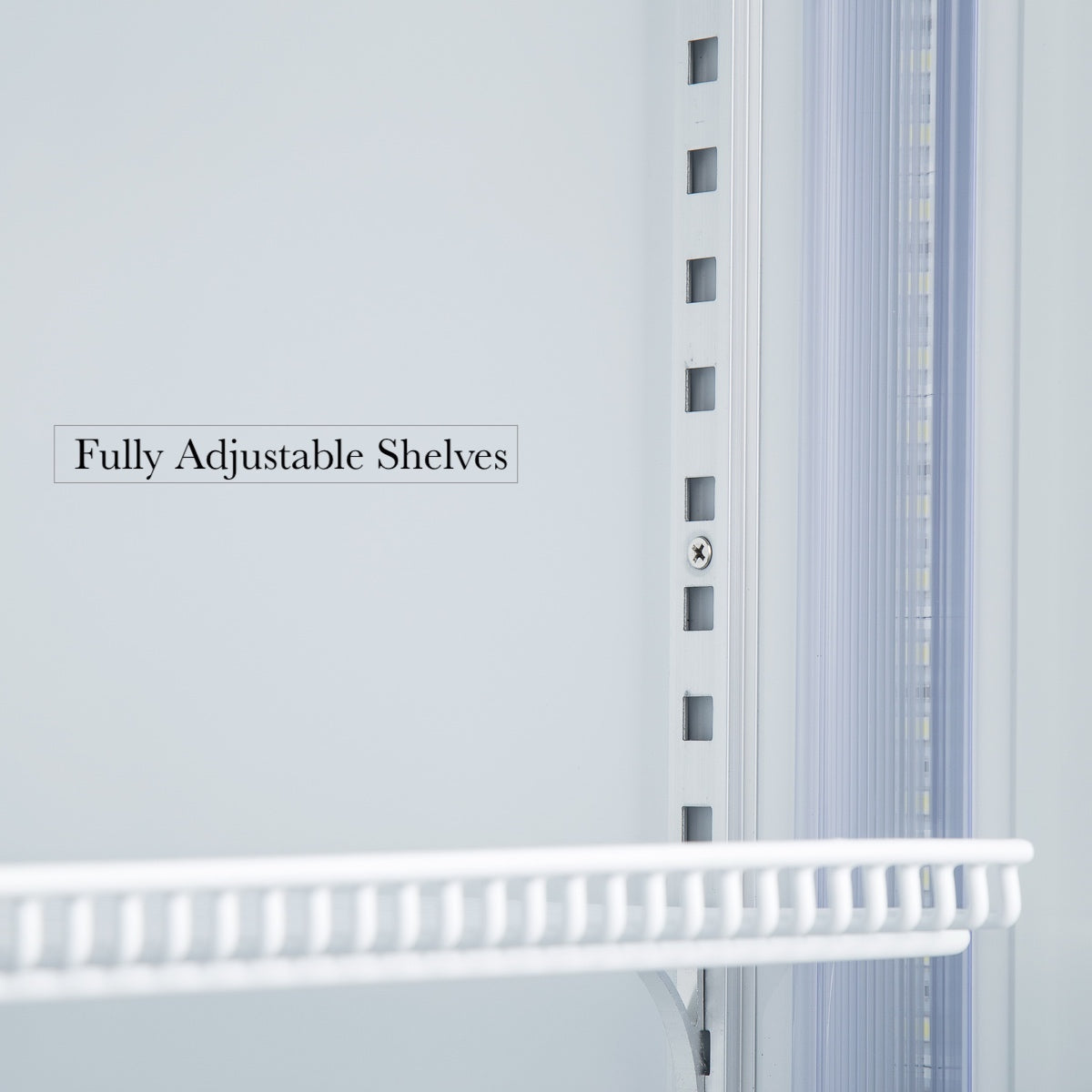 KingsBottle Display Beverage Cooler – Commercial Glass Door Refrigerator (80L)