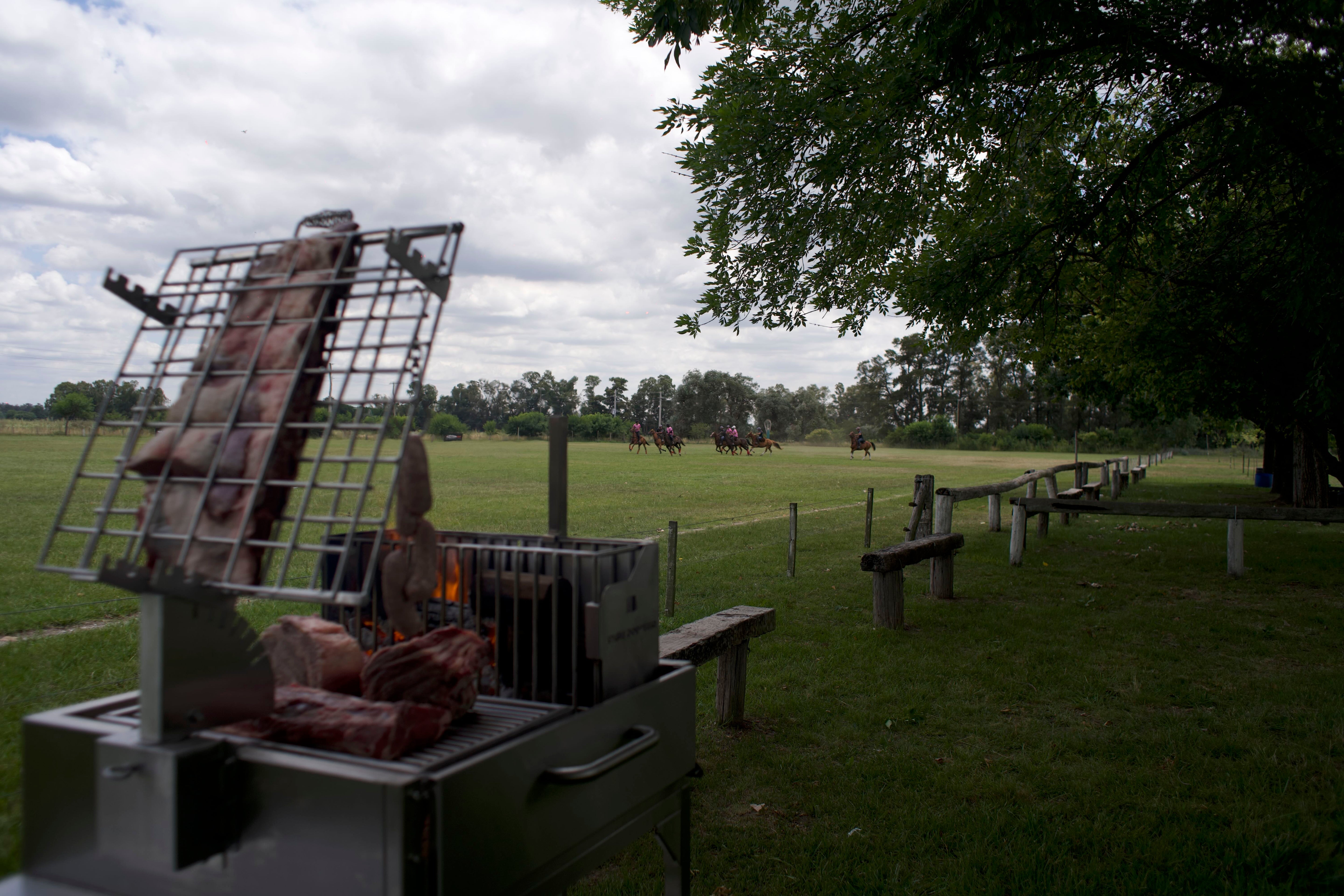 Tagwood BBQ Argentine Clamp Grill with Firebox – BBQ33SS